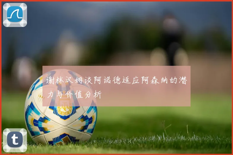 谢林汉姆谈阿诺德适应阿森纳的潜力与价值分析